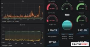 What Is Wizzydigital.org and What Does It Offer?